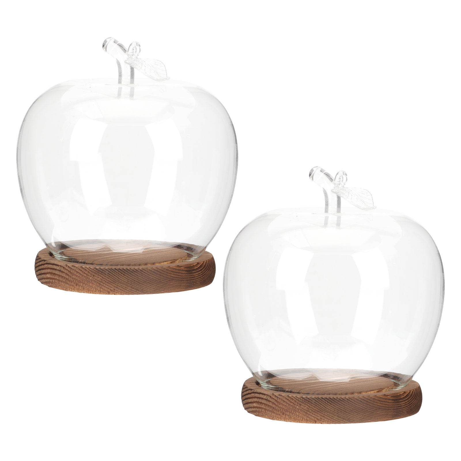 Plastic Dome Clear - 2 sztuki szklanych kopuł z drewnianą
