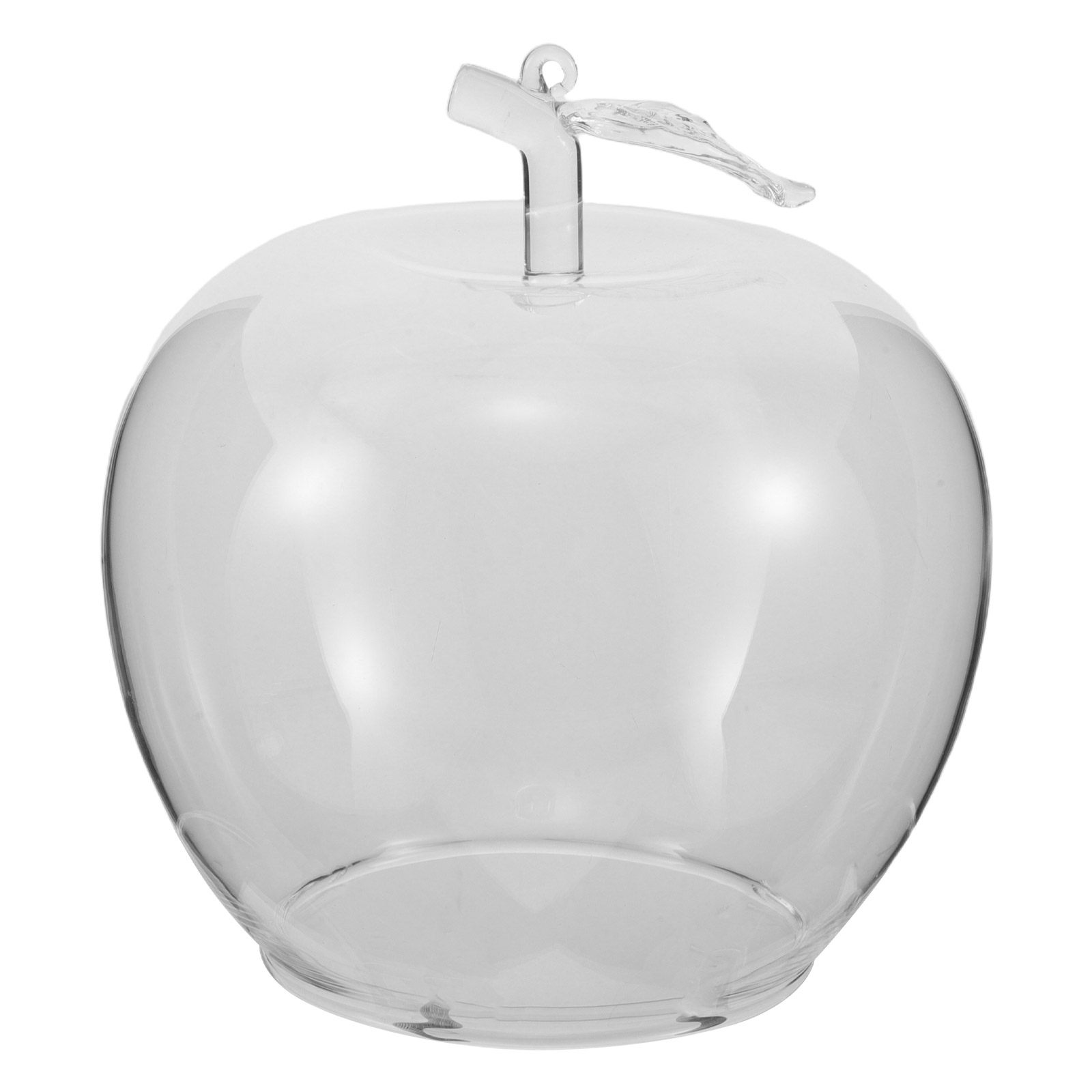 Szklana kopuła w kształcie owo – Plastic Dome Clear recenzja i cena