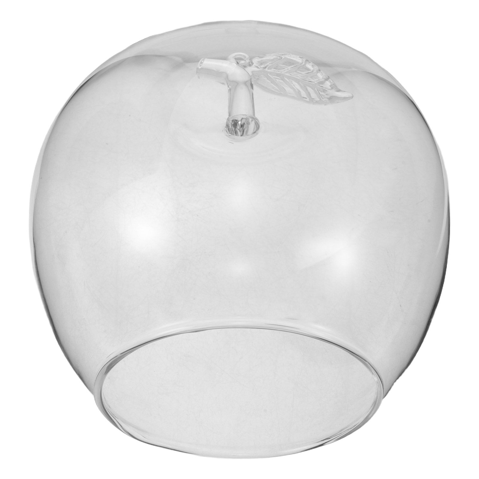 Szklana kopuła w kształcie owo – Plastic Dome Clear recenzja i cena