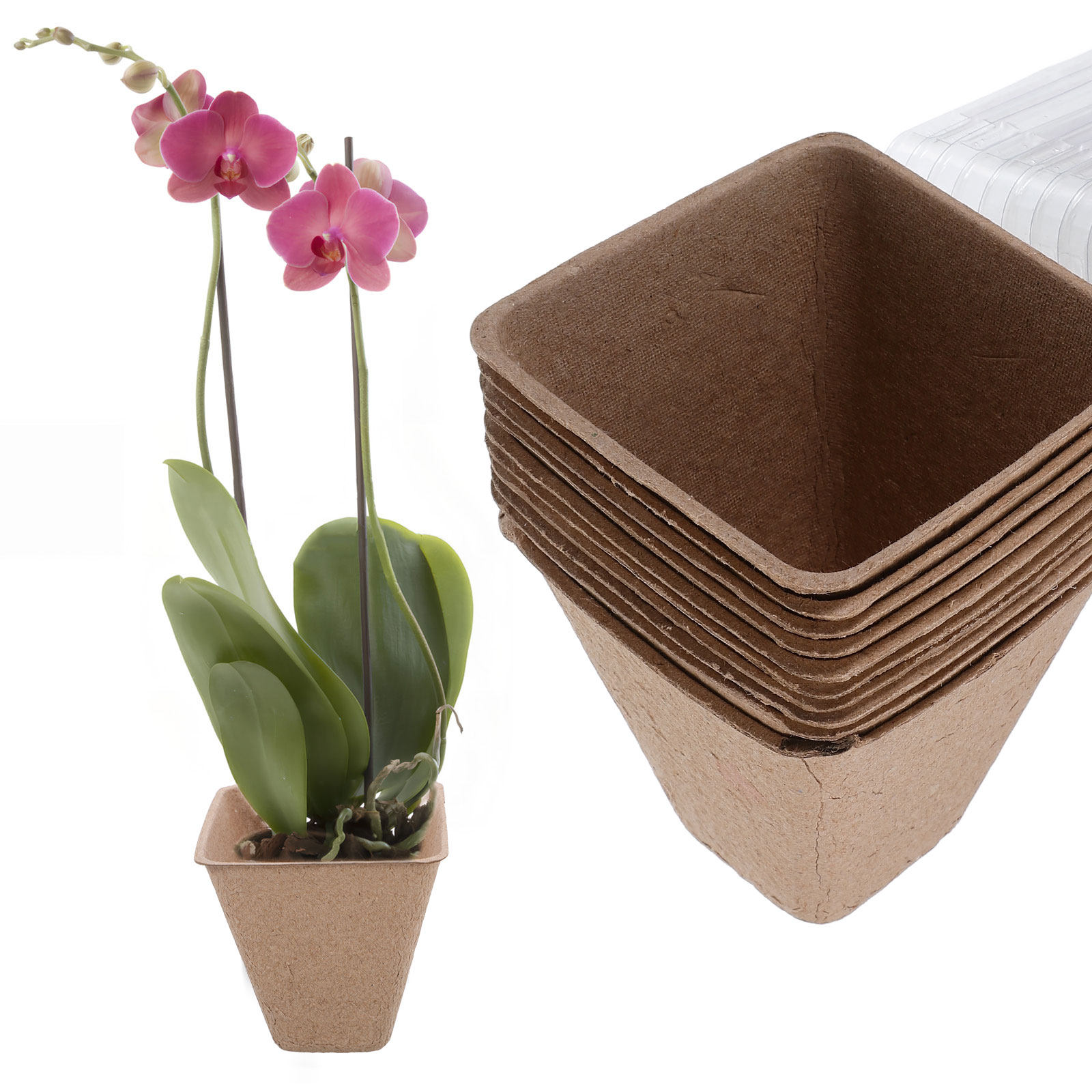 10 szt. Biodegradowalnych doni – Humidity Dome Kit recenzja i cena